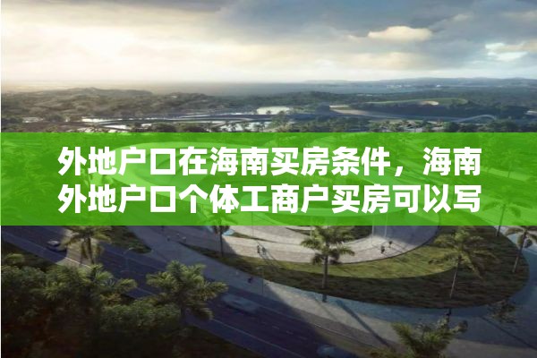 外地户口在海南买房条件，海南外地户口个体工商户买房可以写在个人名下吗？