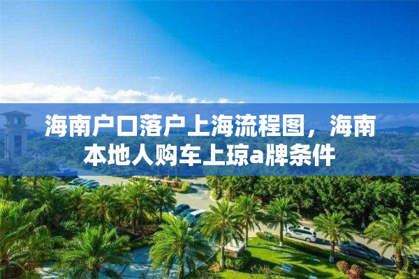 海南户口落户上海流程图，海南本地人购车上琼a牌条件