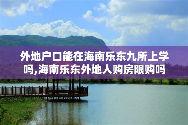 外地户口能在海南乐东九所上学吗,海南乐东外地人购房限购吗